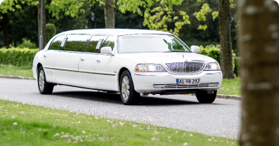 Taxi Service for Luxury Business